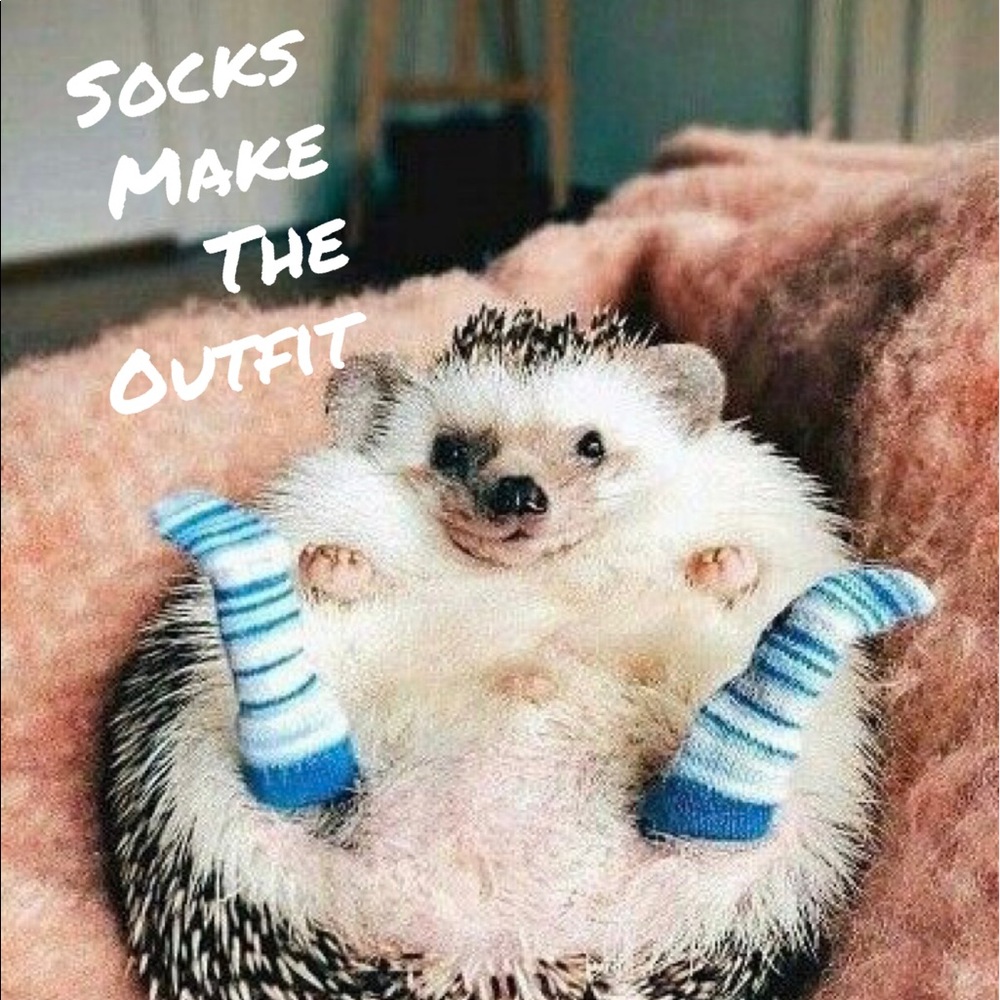 Adorable socks!